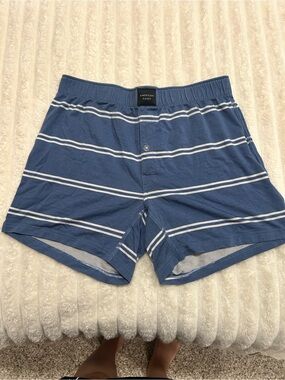 American Eagle Outfitters Blue Striped Womens Boxer Shorts